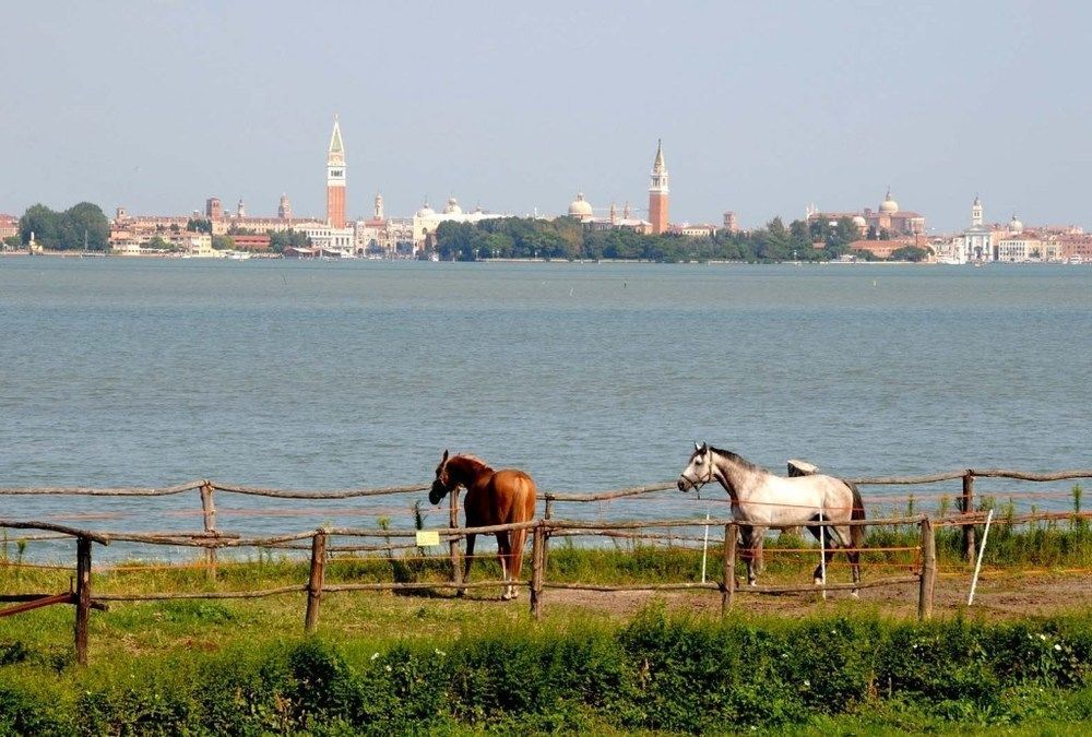 Hotel Russo Palace Lido di Venezia Exterior photo